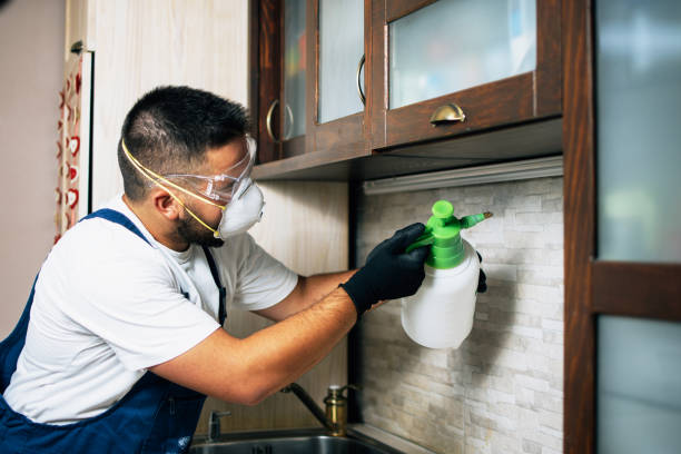 Best Pest Removal Services  in Minor, AL